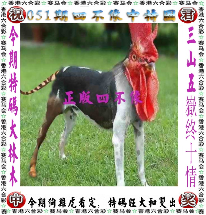 四不像中特图